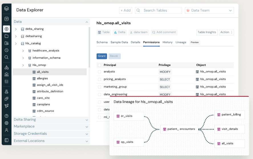 Databricks Data + AI Summit LakehouseIQ, Lakehouse AI and everything